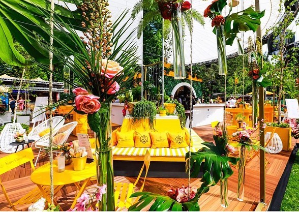 TASTE OF VEUVE 6